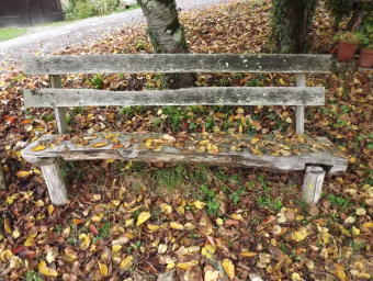 Automne à Chamboret
