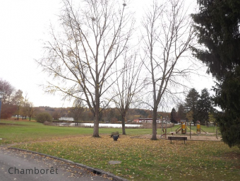 chamboret-etang