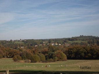taillac