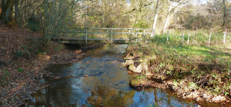 RESTRUCTURATION RÉSEAU D’EAU