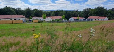 “LE CHAMP DE LA MARIÉE” – des lots encore disponibles