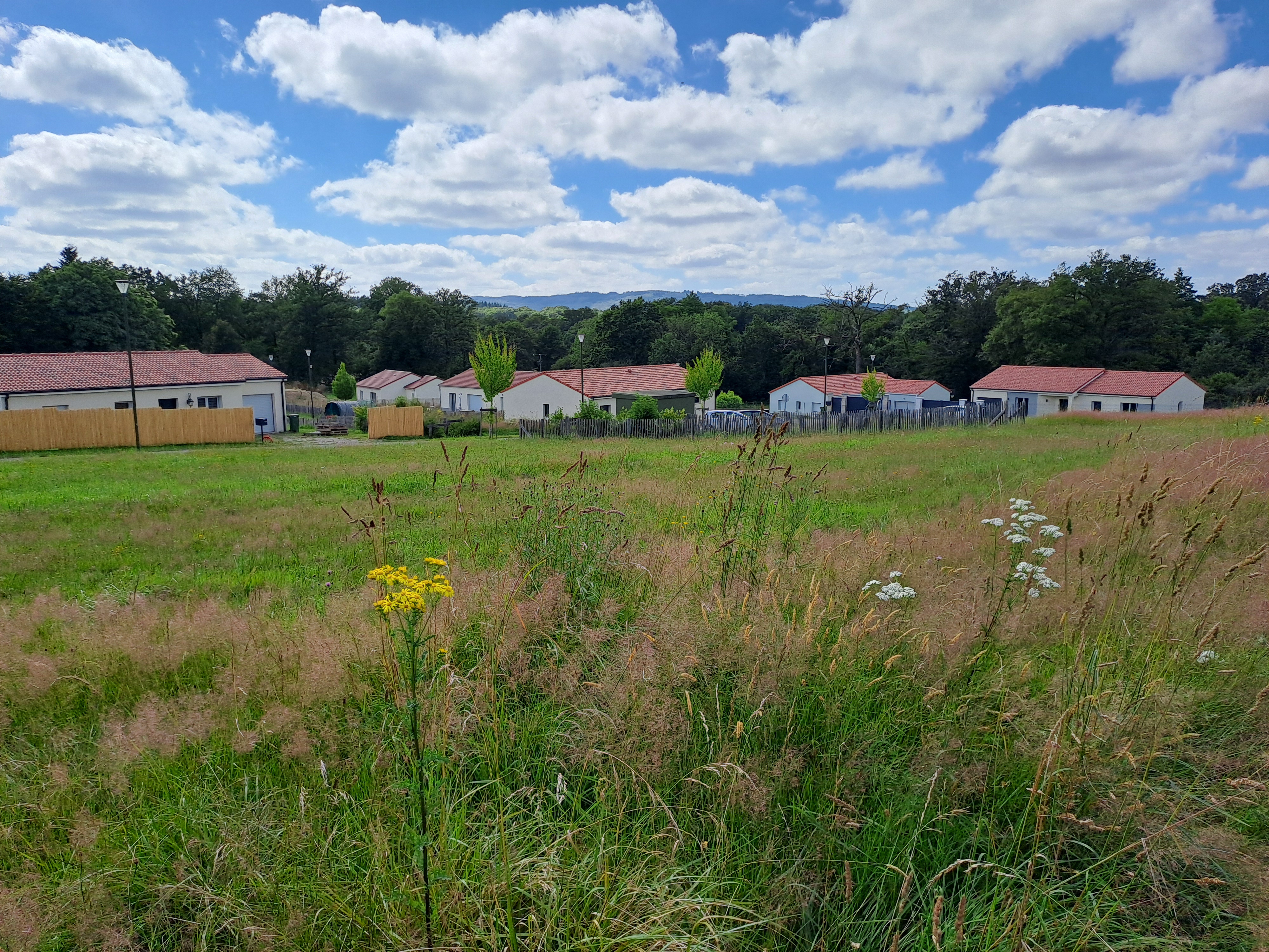 “LE CHAMP DE LA MARIÉE” – des lots disponibles